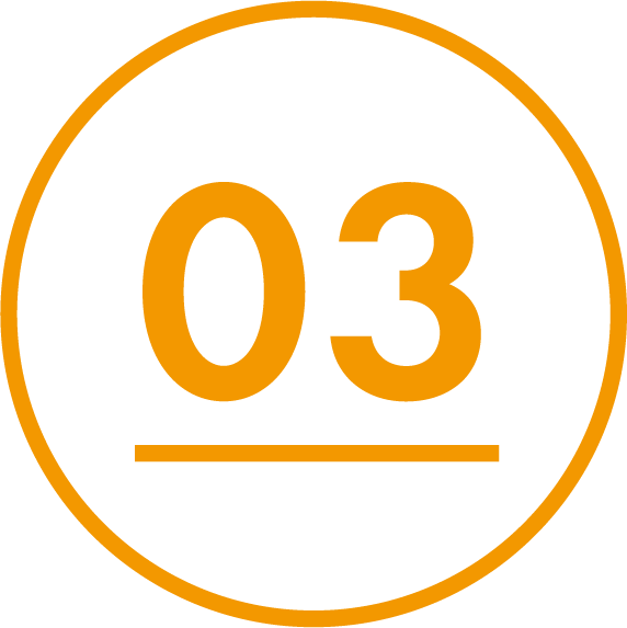 no3